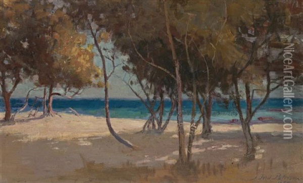 Ti-tree, Brighton Beach Oil Painting - John Ford Paterson