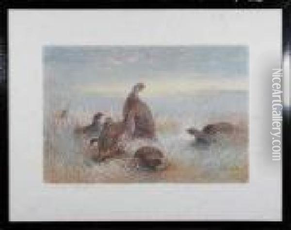 A Covey Of Partridges Oil Painting - Archibald Thorburn