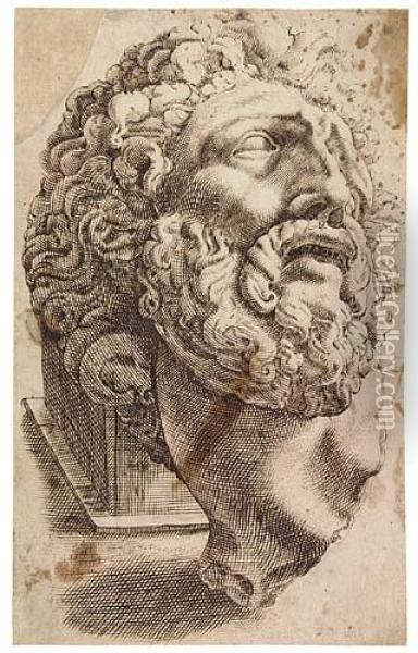 The Head Of Laocoon As A Fragment Oil Painting - Hendrick Goltzius