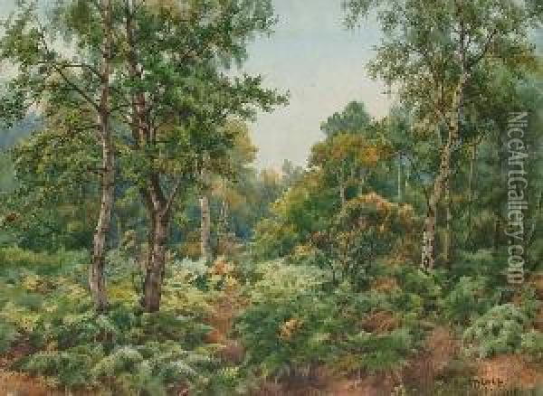A Woodland Glade Oil Painting - Benjamin John Ottewell
