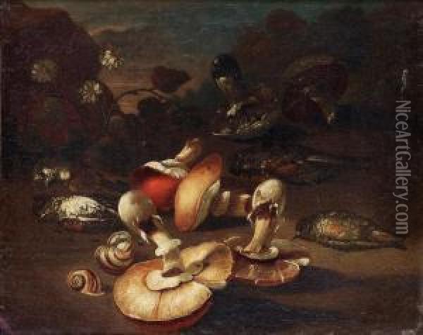 Still Life With Birds And Mushrooms Oil Painting - Giuseppe Recco