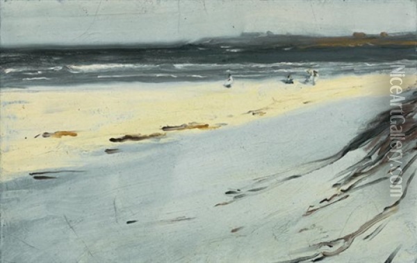 Seagulls Along The Coast Oil Painting - Caroline Stehlin