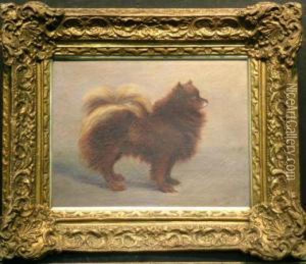 A Pomeranian Oil Painting - Mary Georgina Barton