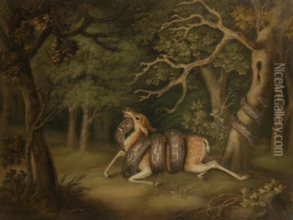 A 'marmotinto' Sand Painting Of A Python Constricting A Deer In A Woodland Landscape Oil Painting - Benjamin Zobel