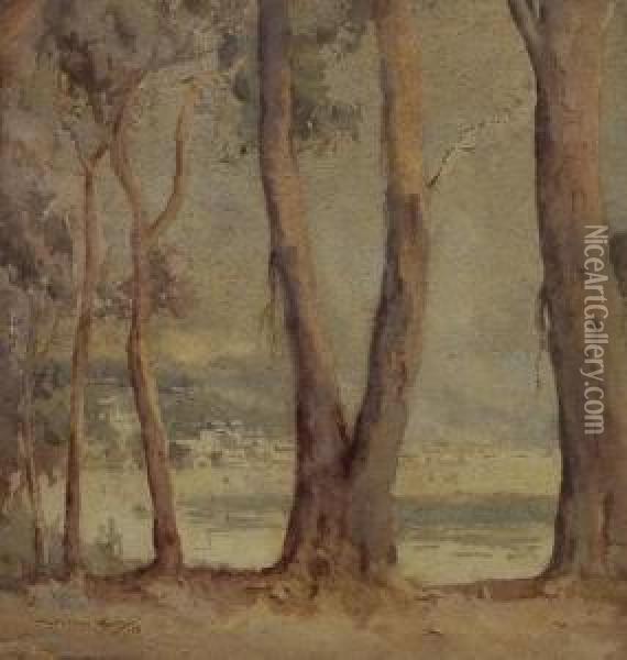View Through Trees Oil Painting - Matthew James Macnally