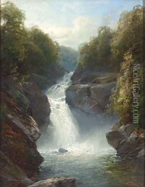 A Welsh waterfall Oil Painting - John Brandon Smith