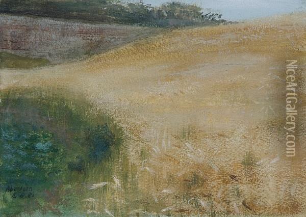 Aberdeen 14.8.86 Oil Painting - Edward Clifford