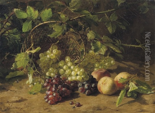 Grapes And Peaches On A Forest Floor Oil Painting - Gerardina Jacoba van de Sande Bakhuyzen