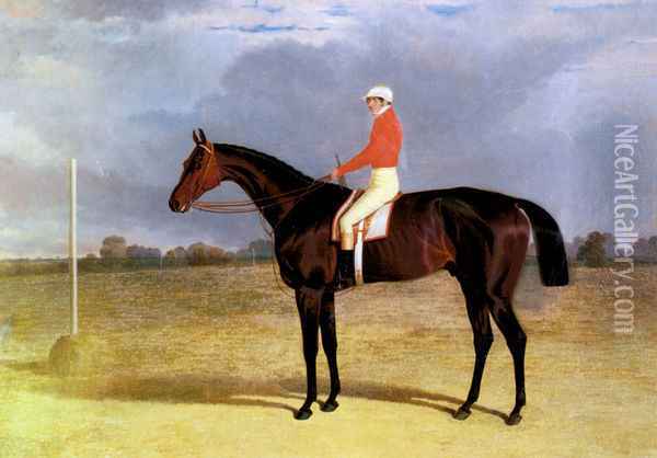 A Dark Bay Racehorse with Patrick Connolly Up Oil Painting - John Frederick Herring Snr