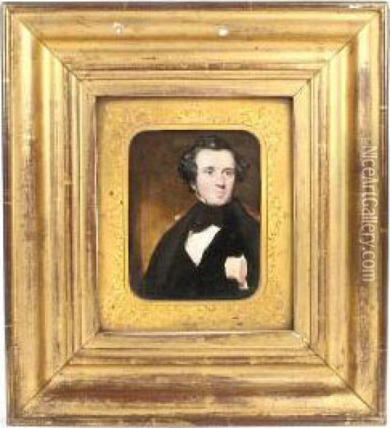 Portrait Of A Gentleman, Wearing A Black Coat,waistcoat And Necktie Oil Painting - Francois Theodore Rochard