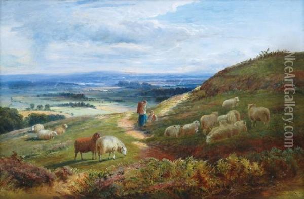 Sheepat Rest Oil Painting - J.N. Cole