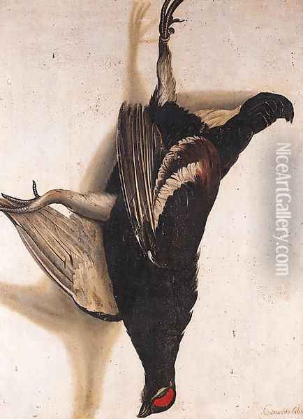 A tromp-l'oeil of a Blackcock hanging from a Nail Oil Painting - Cornelis Biltius