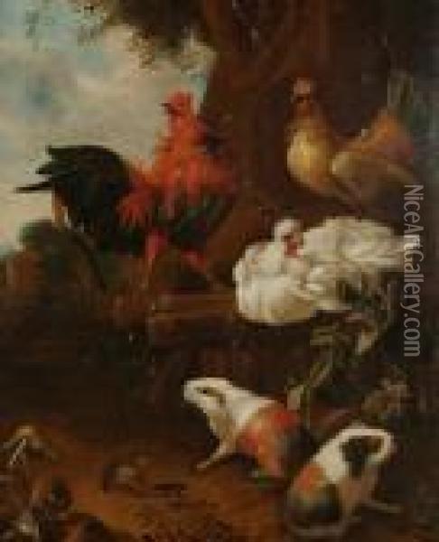 A Cockerel, Hens, Guinea Pigs And A Toad In A Garden Oil Painting - Jan Van Oolen