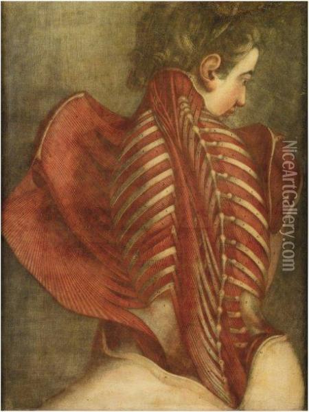 L'ange Anatomique Ou Femme Oil Painting - Jacques - Fabien Gautier - Dagoty