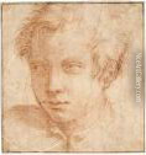 Portrait Of A Young Man Oil Painting - Rancesco De' Rossi (see Salviati, Cecchino Del)