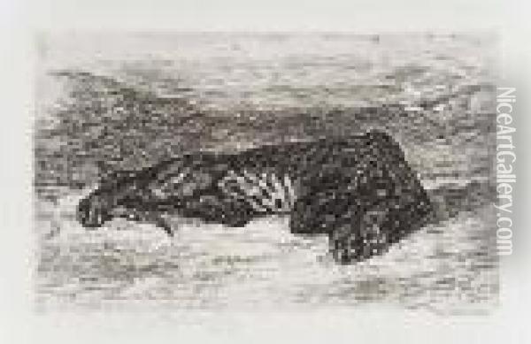 Tigre Couche Dans Le Desert Oil Painting - Eugene Delacroix