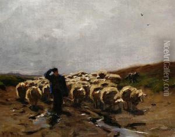 Shepherd And Flock Oil Painting - Hermann Johannes Van Der Weele