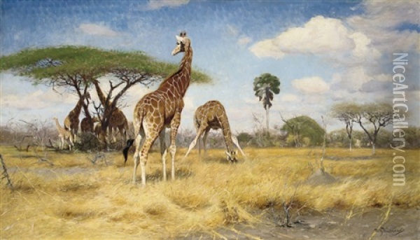 Giraffes Oil Painting - Wilhelm Friedrich Kuhnert