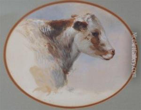Head Study Of A Cow Oil Painting - Henry Nelson O'Neil
