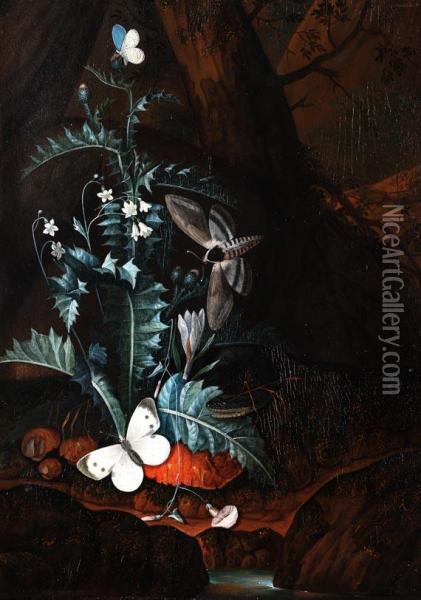 Waldbodenstillleben Mit Distel, Schmetterling Und Nachtfalter Oil Painting - Carl Wilhelm de Hamilton