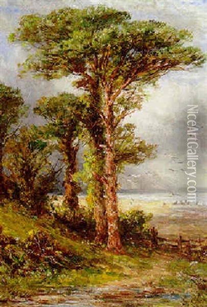 A Wooded Landscape, The Coast Beyond Oil Painting - George F. Chester