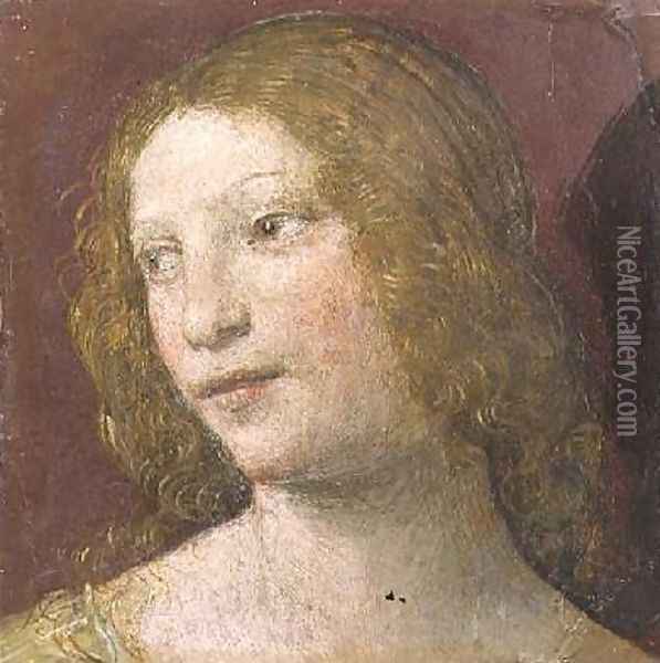 Head of a Young Woman Oil Painting - Bernardino Luini
