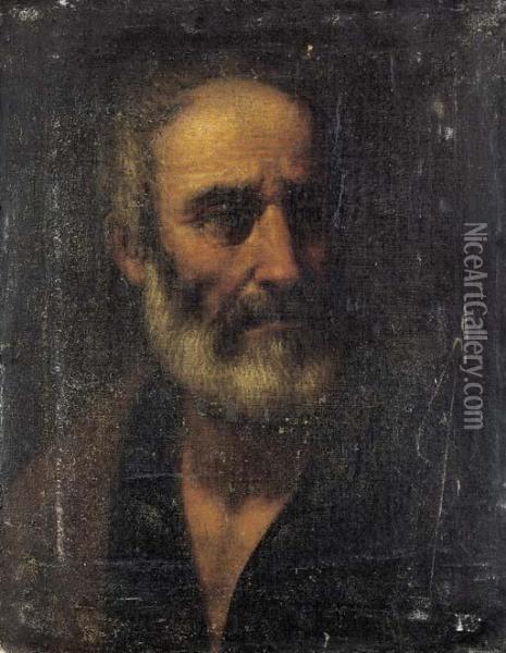 Ritratto Di Uomo Barbuto Oil Painting - Master Of The Judgement Of Solomon