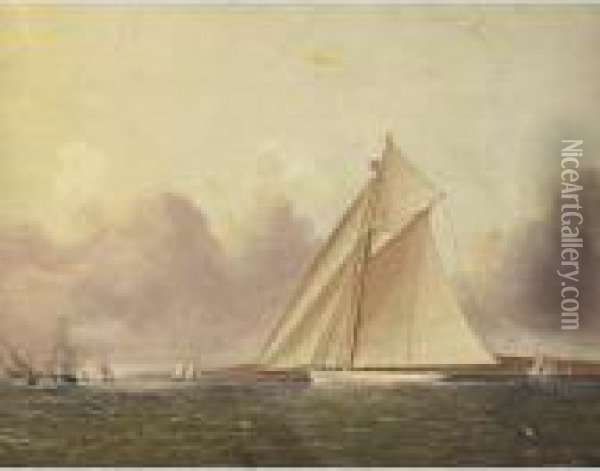 A View Of New York Sound, The 'volunteer' In The Foreground Oil Painting - James E. Buttersworth