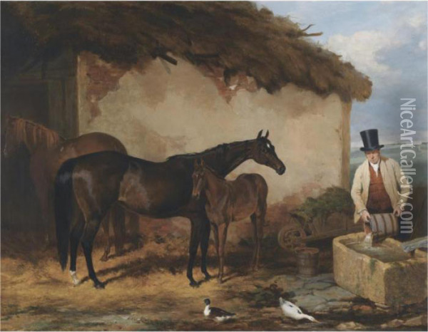 The Mare Perhaps And A Foal At Newmarket Oil Painting - Harry Hall