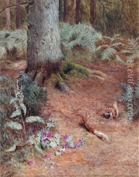 Red Squirrels Oil Painting - William Foster