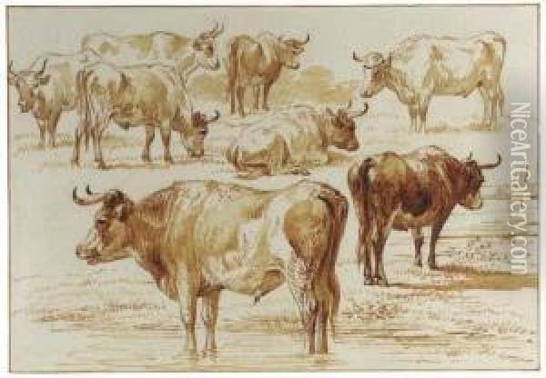 A Study Of Bulls Oil Painting - Jan Van Ravenswaay