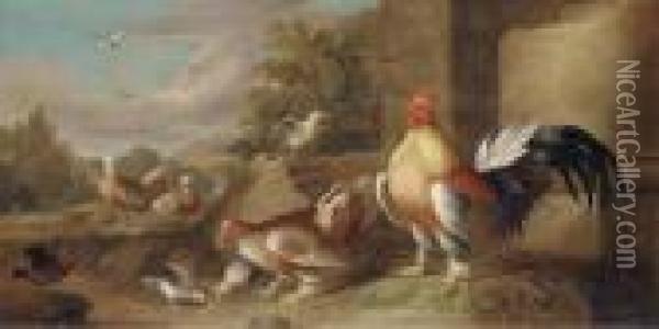 A Rooster, Hen And Other Fowl In An Extensive Landscape Oil Painting - Jakob Bogdani Eperjes C