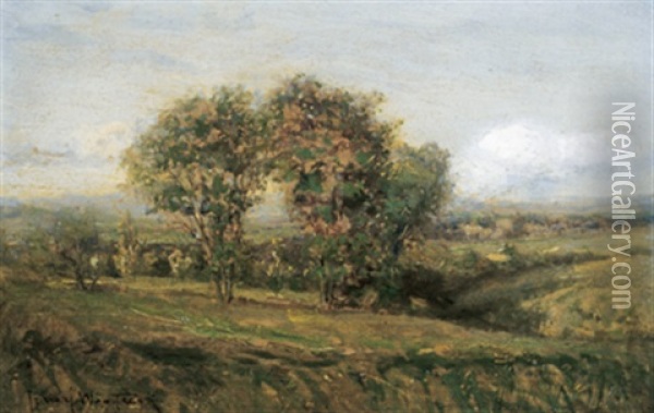 Landscape Nr. Chateauguay Oil Painting - Percy Franklin Woodcock