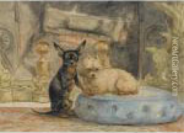 The Dogs Of Marie-henriette, The Queen Of Belgium Oil Painting - Henriette Ronner-Knip
