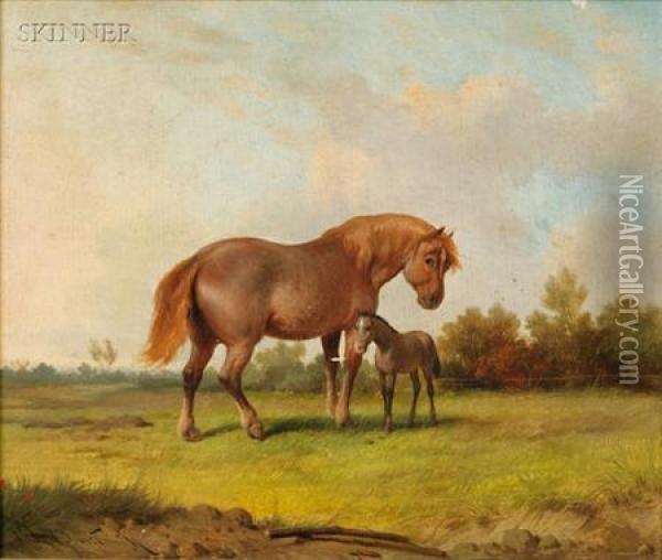 Mare And Foal Oil Painting - Franz van Severdonck
