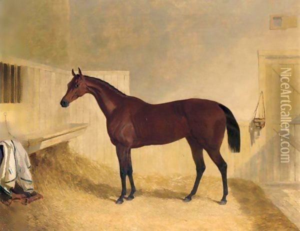 Mr William Orde's Bay Filly Bees-Wing In A Loose Box 2 Oil Painting - John Frederick Herring Snr
