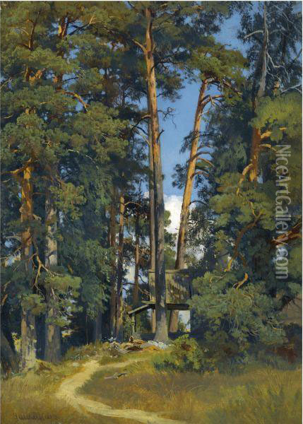 Woodland Grove Oil Painting - Ivan Shishkin