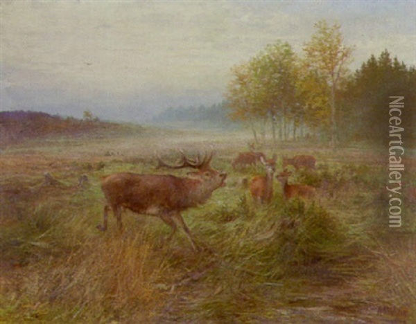 Septembermorgen - Dresdner Heide Oil Painting - Albert Ernst Muehlig