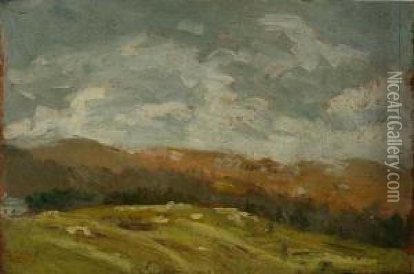 Paesaggio Delle Valli Di Lanzo Oil Painting - Cesare Ferro