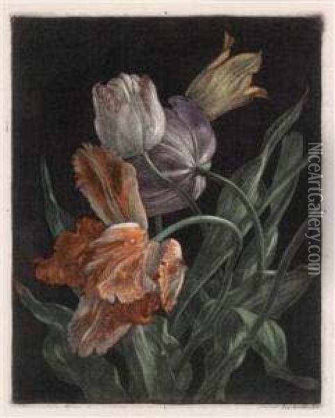 Tulpen Oil Painting - Hans Frank