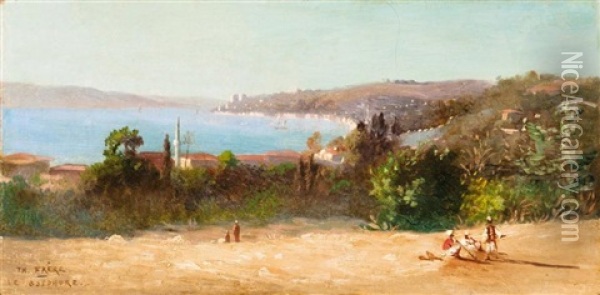 Vue Panoramique Du Bosphore Oil Painting - Charles Theodore (Frere Bey) Frere