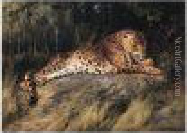 Leopard Oil Painting - William Arnold Woodhouse