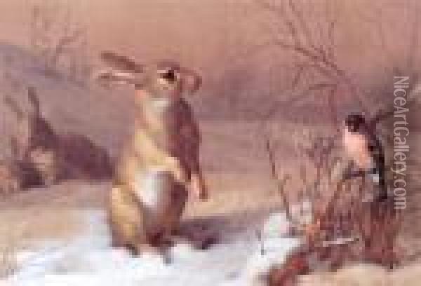 Hare And Chaffinch Oil Painting - Archibald Thorburn