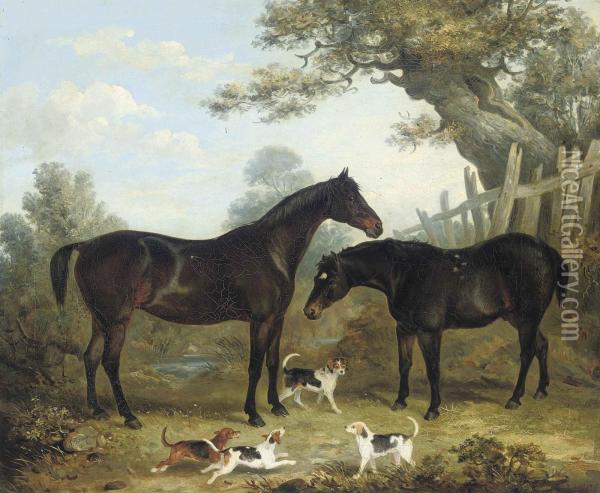 Two Chestnut Hunters, With Puppies Playing In The Foreground Oil Painting - John Pitman