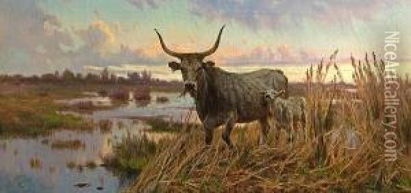 A Water Buffalo And Her Calf In A Marshylandscape Oil Painting - Aurelio Tiratelli