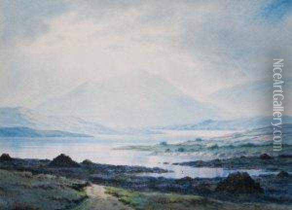 At Ballinahinch, Connemara Oil Painting - Douglas Alexander