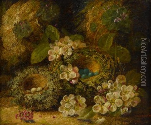 Primroses And Birds Nests On A Mossy Bank Oil Painting - Oliver Clare