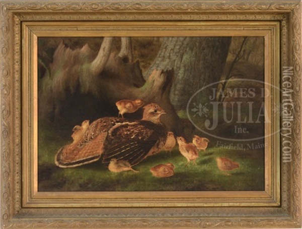 Ruffed Grouse With Chicks Oil Painting - James Long Scudder
