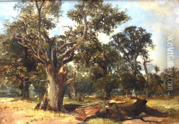 Cadzow Forest Oil Painting - Alexander Fraser the Younger