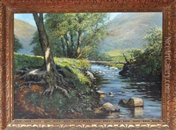 Tree Roots Along The Bank Of A River In Summer Sunshine Oil Painting - George Charles Francis